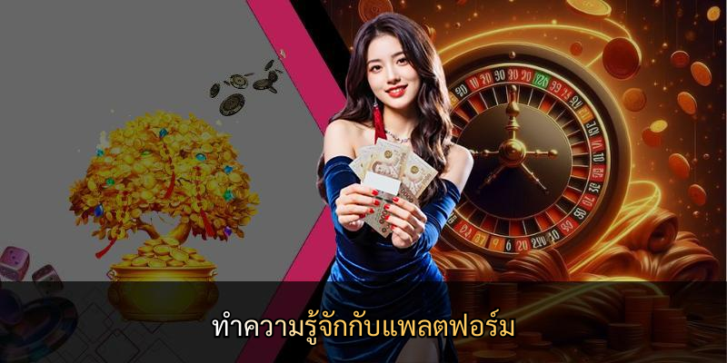 ทำความรู้จักกับแพลตฟอร์ม