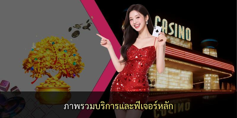 ภาพรวมบริการและฟีเจอร์หลัก
